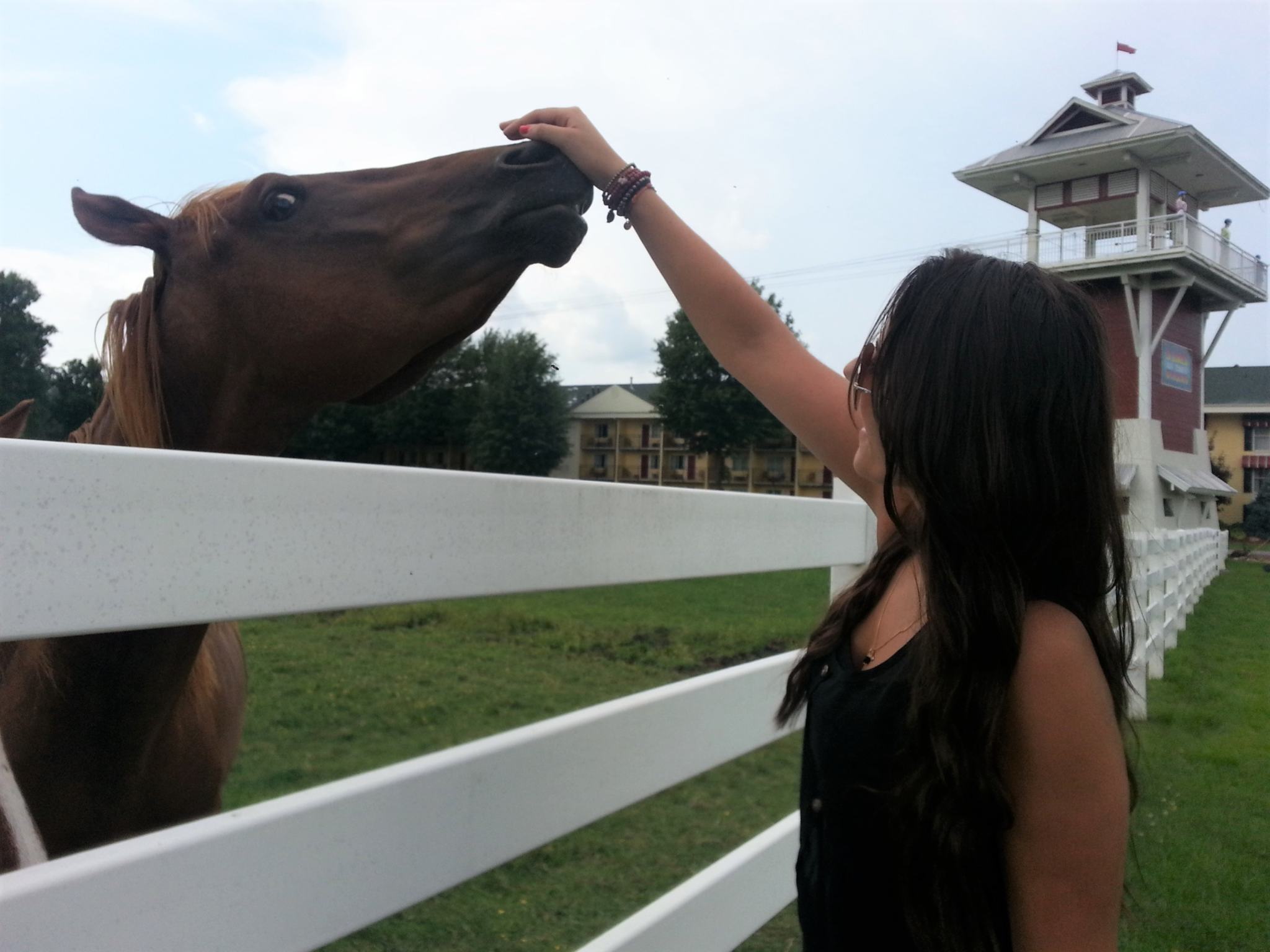 Family Vacation: Tennessee